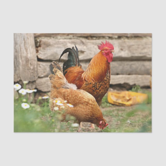 Chickens and White Flowers  Tissue Paper (Front)