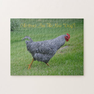 Chickens Are The New Dog Puzzle