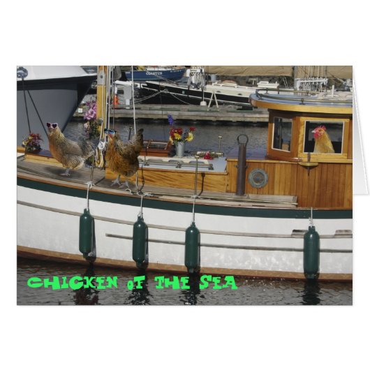 Chickens at Sea - Humor Cards (Front Horizontal)