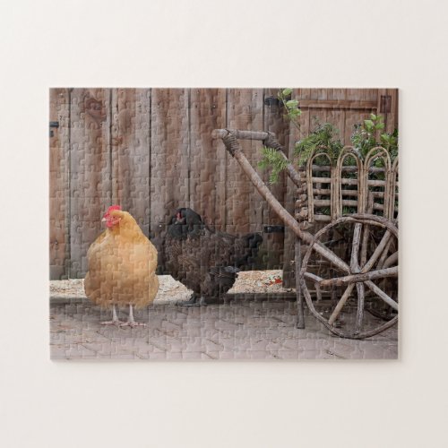 Chickens at the farm jigsaw puzzle