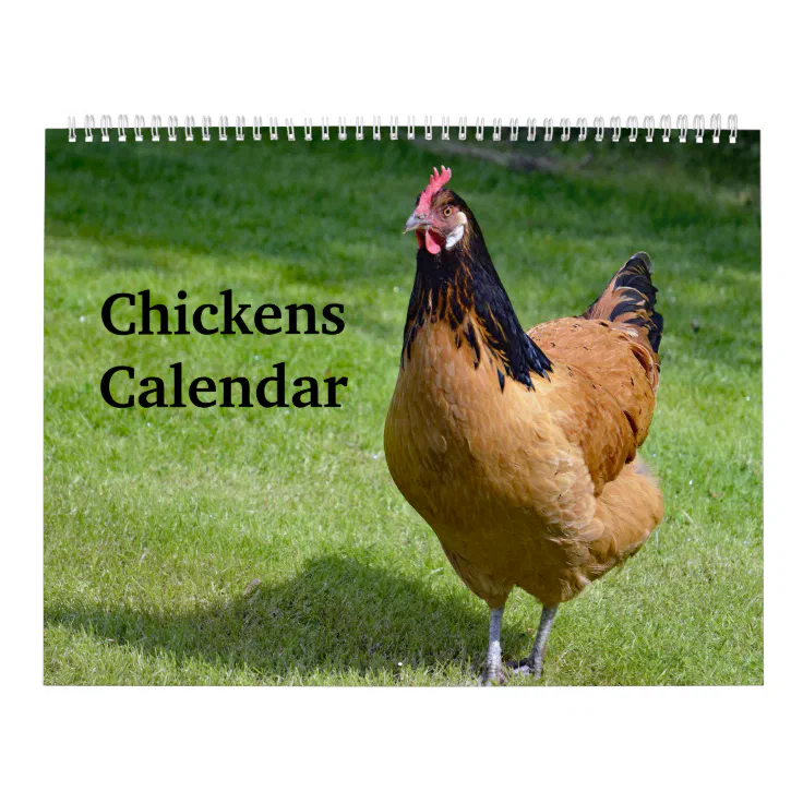 Chickens Calendar Zazzle