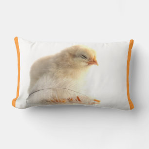 chickens chicks with feather lumbar pillow