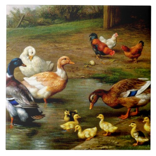 Chickens Ducks And Ducklings At The Farm Ceramic Tile