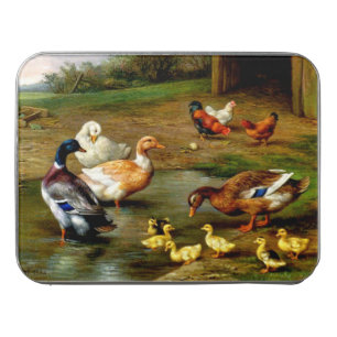 Chickens, Ducks And Ducklings At The Farm Jigsaw Puzzle