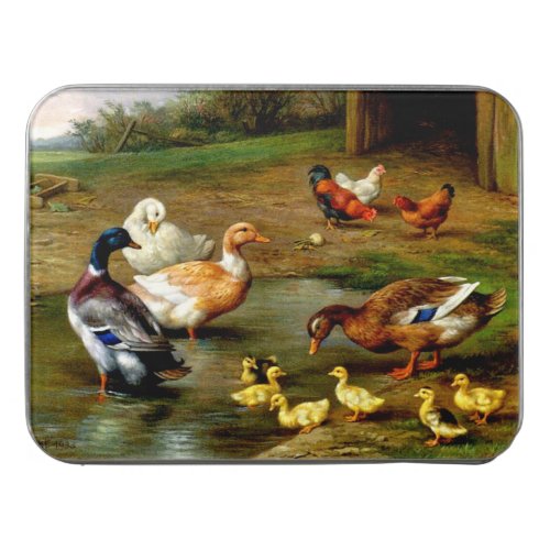 Chickens Ducks And Ducklings At The Farm Jigsaw Puzzle