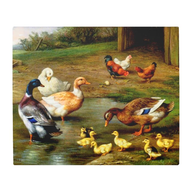 Chickens, Ducks And Ducklings At The Farm Metal Print (Front)
