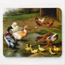 Chickens, Ducks And Ducklings At The Farm Mouse Pad
