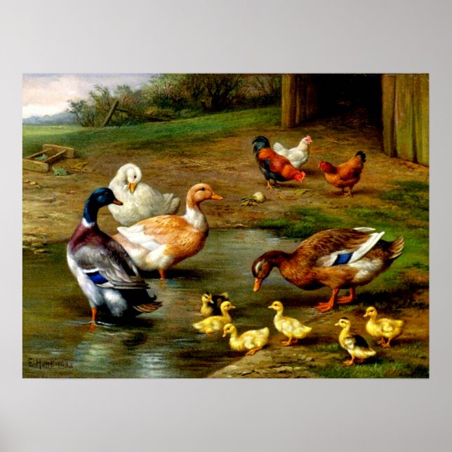 Chickens, Ducks And Ducklings At The Farm Poster (Front)