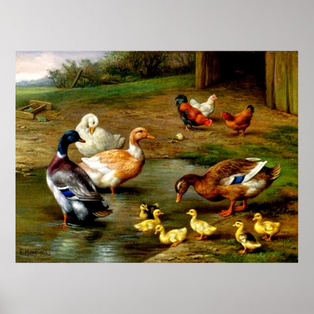 Chickens, Ducks And Ducklings At The Farm Poster (Front)