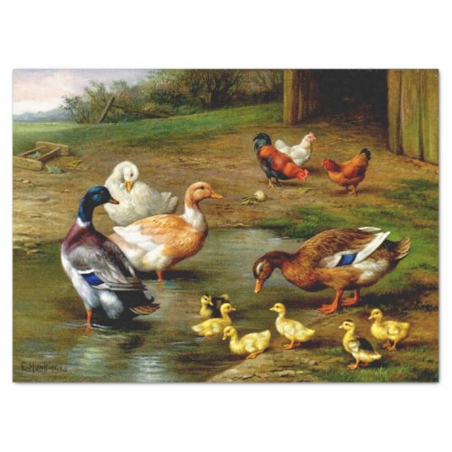 Chickens Ducks And Ducklings At The Farm Tissue Paper