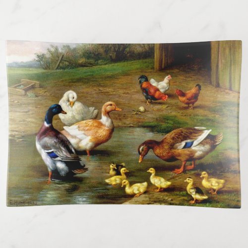 Chickens Ducks And Ducklings At The Farm Trinket Tray