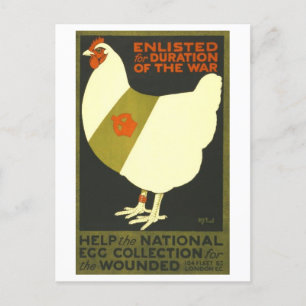 Chickens Enlisted for War Vintage Postcard