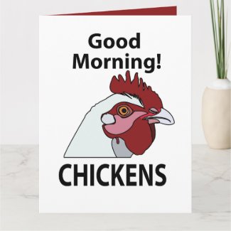 Chickens Good Morning Funny Chicken 