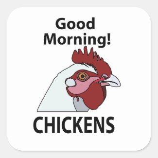 Chickens Good Morning Funny Chicken 