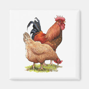 Chickens: Hen and Rooster Color Pencil Drawing Magnet