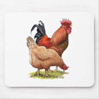 Chickens: Hen And Rooster Color Pencil Drawing Mouse Pad by joyart at Zazzle