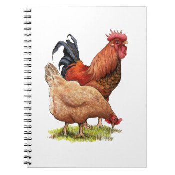 Chickens: Hen And Rooster Color Pencil Drawing Notebook by joyart at Zazzle