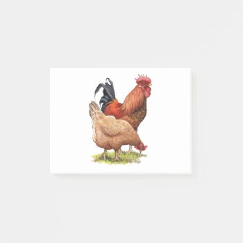 Chickens: Hen And Rooster Color Pencil Drawing Post-it Notes by joyart at Zazzle