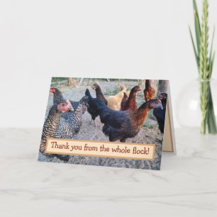 Chickens Humor Funny Barnyard Thank You Card