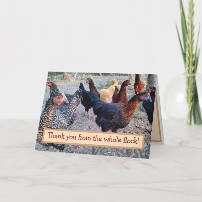 Chickens Humor Funny Barnyard Thank You Card (Front)