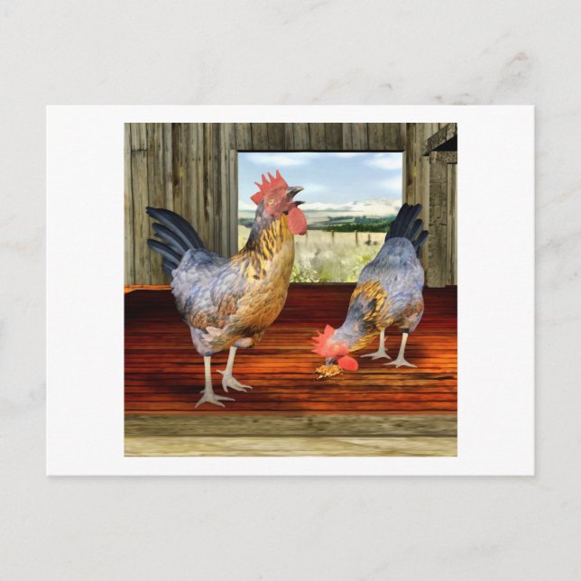Chickens in Barn Postcard (Front)