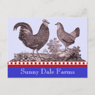 Chickens Invitation for Picnic, Farmer's Market, B Postcard