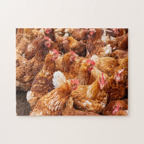 Chickens Jigsaw Puzzle