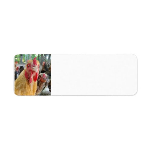 Chickens Label