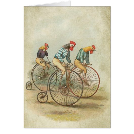 Chickens on Vintage Bikes Cards (Front)