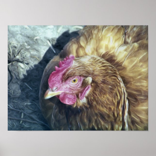 CHICKENS POSTER (Front)