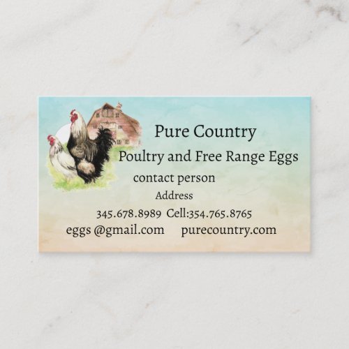 Chickens Poultry Eggs Organic free range Business Card