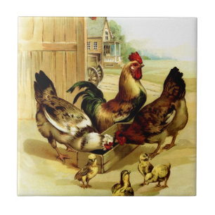 Chickens Rooster and Chicks Ceramic Tile