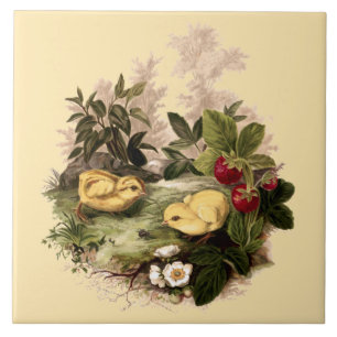 Chickens & Strawberries by L. Prang & Co. Ceramic Tile