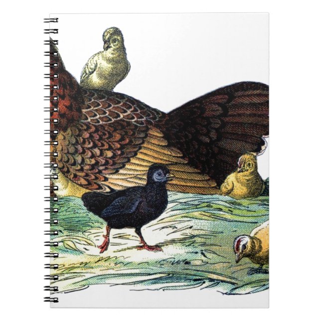 Chickens Vintage Animal Notebook (Front)