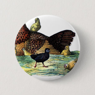 Chickens Vintage Animal Pinback Button