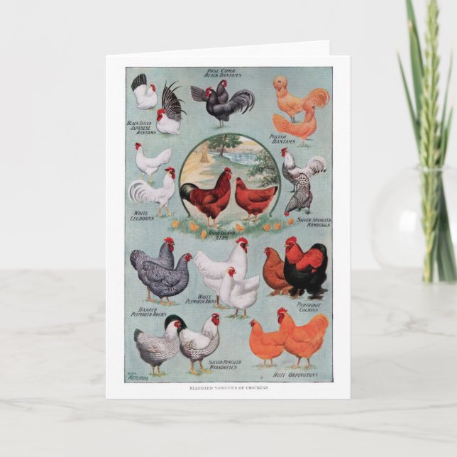 Chickens Vintage Book Page Card (Front)