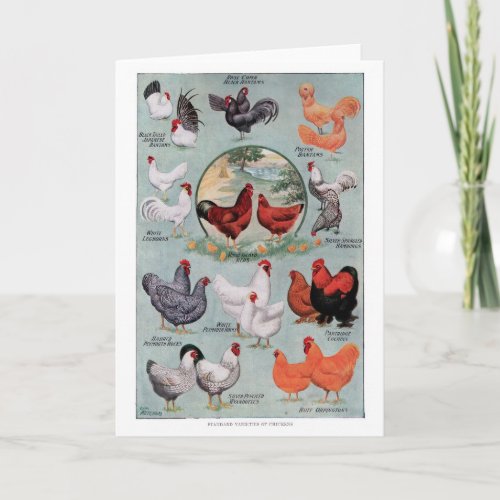 Chickens Vintage Book Page Card