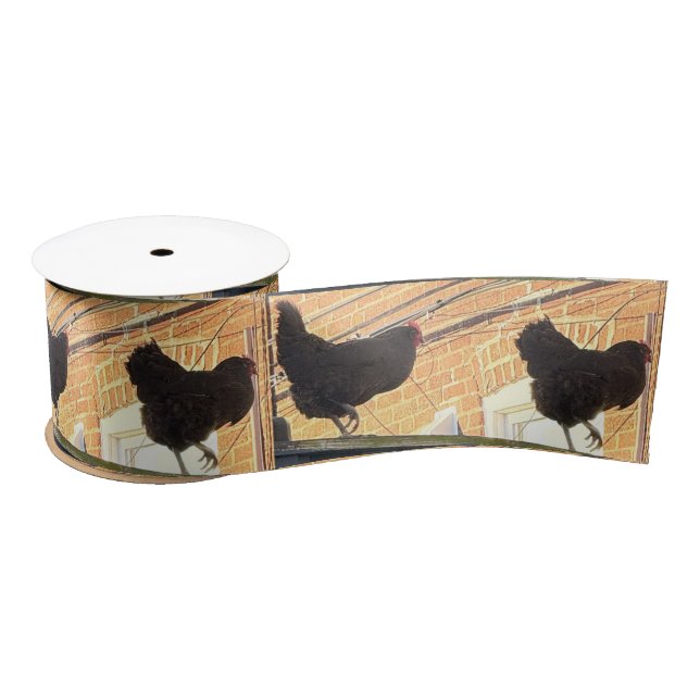 Chickens Walking Photo Ribbon  (Spool)