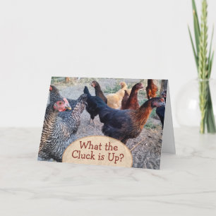 Chickens What's Up Funny Humor Card