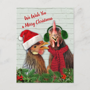 Chickens Wish You A Merry Christmas Holiday Postcard