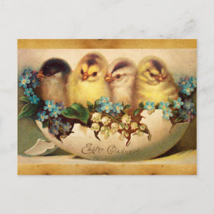 CHICKENS WITH FLOWERS IN EASTER EGG PARCHMENT HOLIDAY POSTCARD