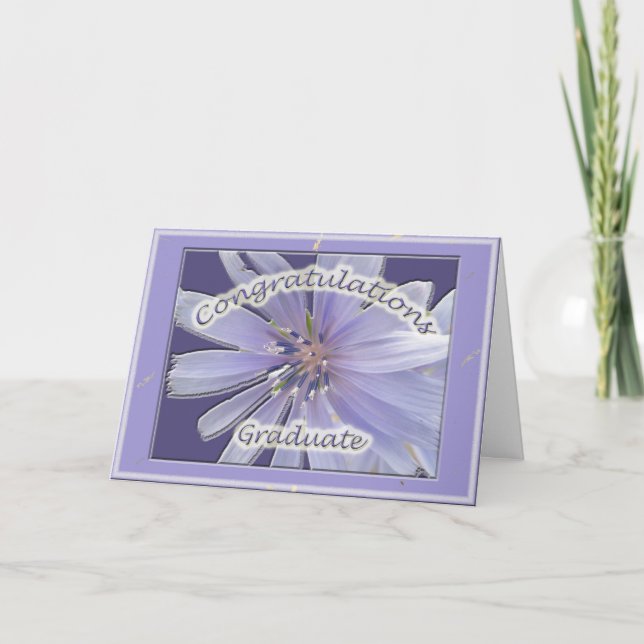 Chickory Congratulations Graduate Card (Front)