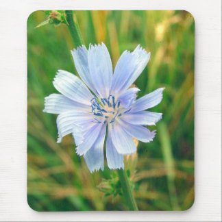 Chickory Flower Mouse Pad