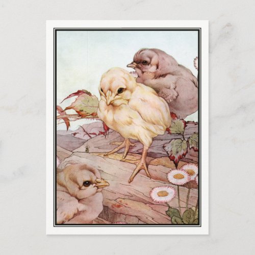 Chicks by E J Detmold Postcard