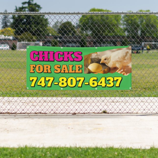 Chicks For Sale Custom Editable Banner (Insitu)