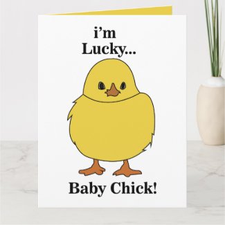 Chicks I'm Lucky Baby Chick