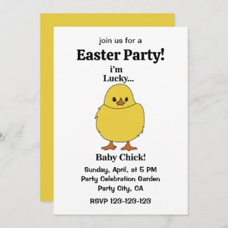 Chicks I'm Lucky Baby Chick