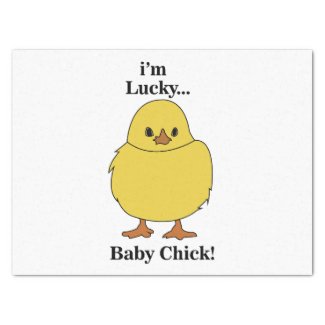 Chicks I'm Lucky Baby Chick