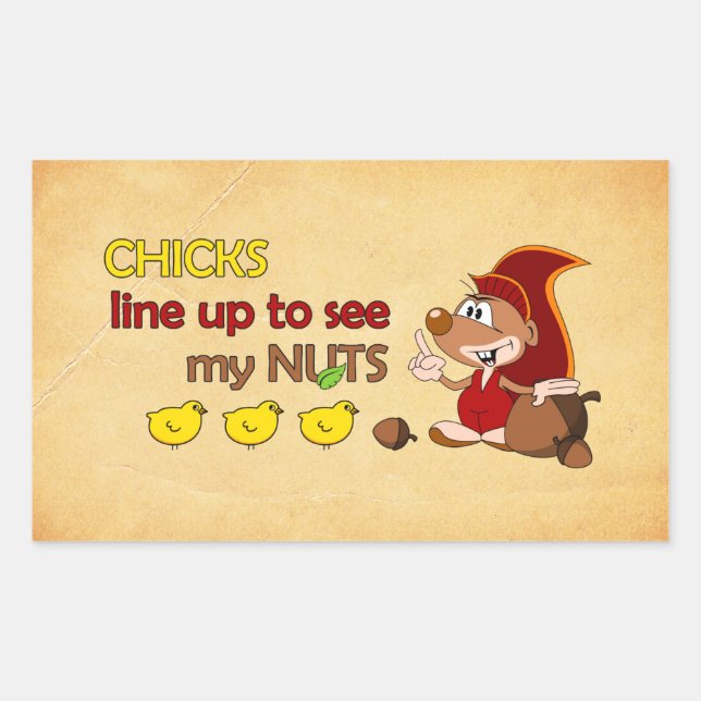 Chicks line up to see my nuts rectangular sticker (Front)