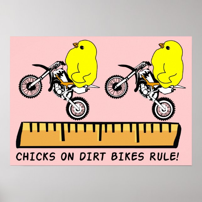 Chicks On Dirt Bikes Rule Motocross Poster Print (Front)
